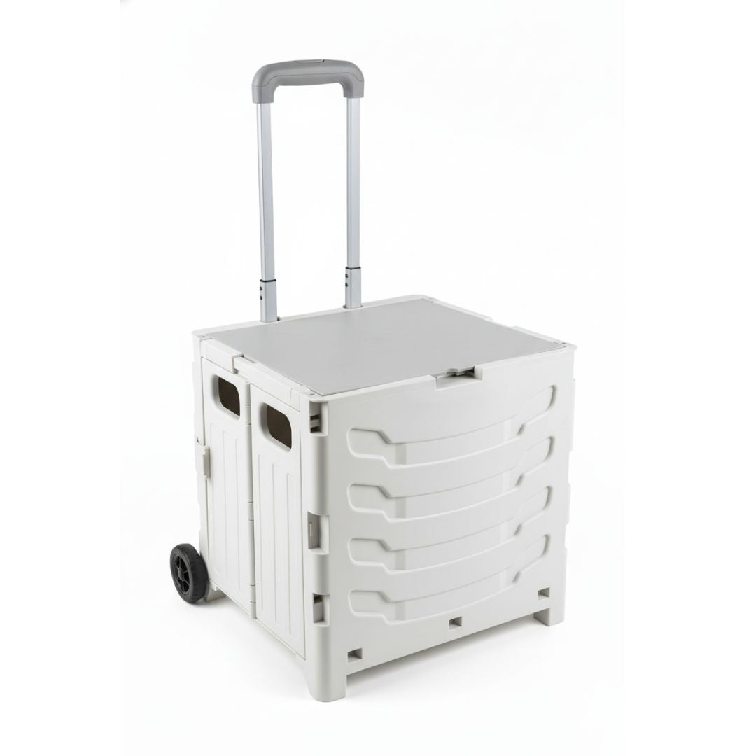 Carrito De Compras Plegable